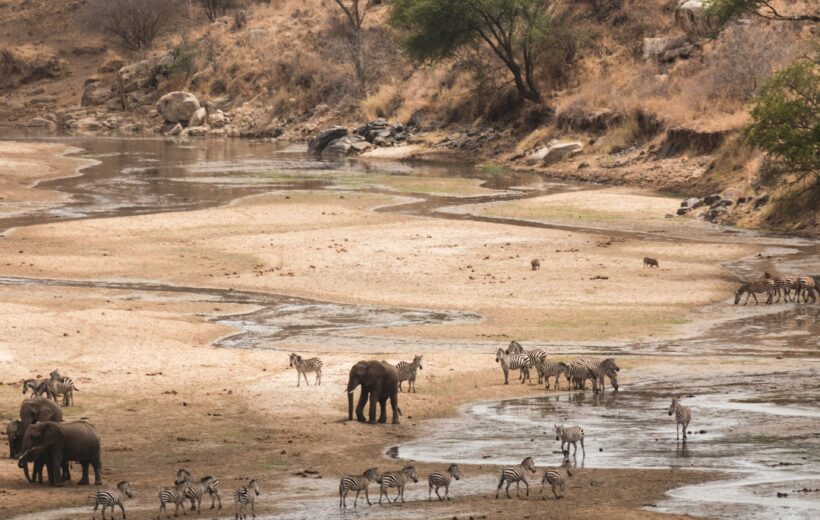 5 Nights | 6 Days: Glimpse of Serengeti & the Ngorongoro