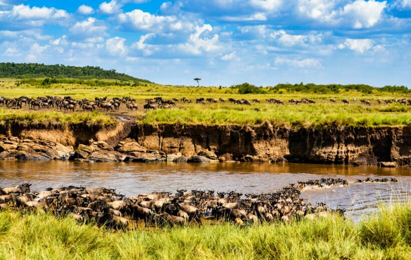 13 Nights | 14 Days: Migration Seekers Safari
